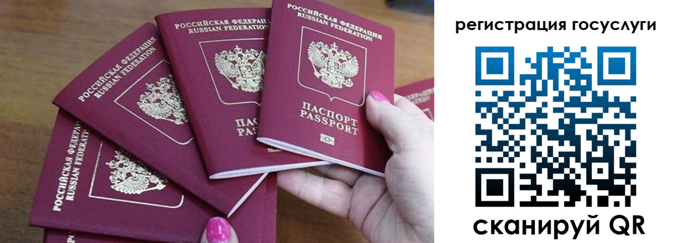прописка в Вязьме